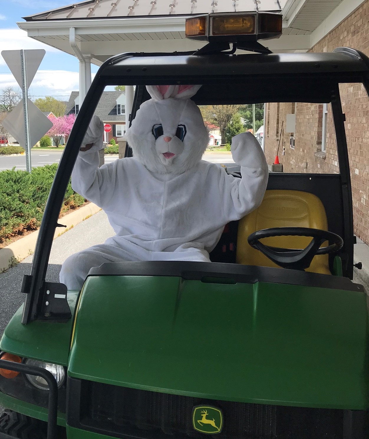 The Easter Bunny is coming to Dayton! @ Sunset Park | Dayton | Virginia | United States
